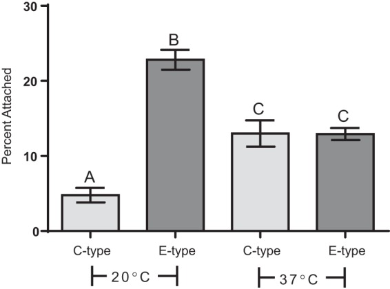 FIG 6