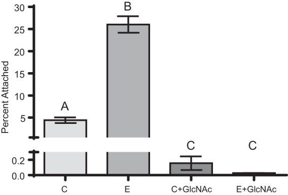 FIG 4