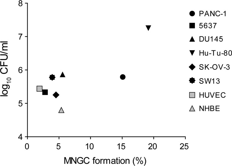 FIG 5