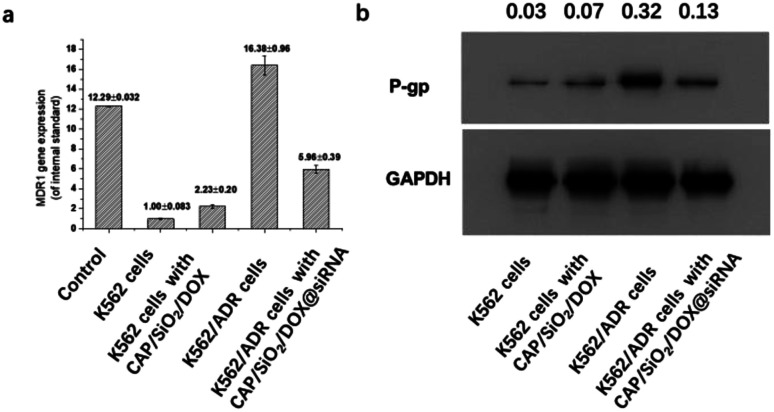 Fig. 7