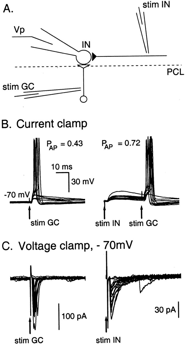 Fig. 9.