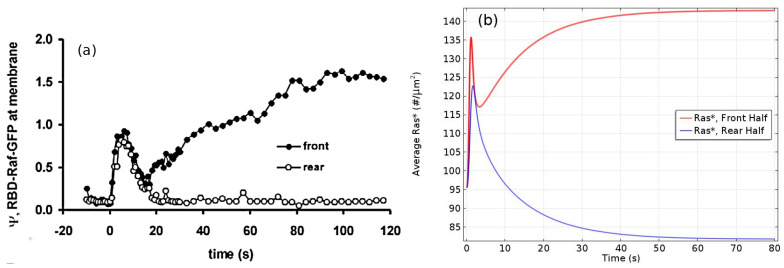 Figure 20