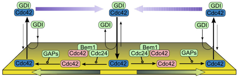 Figure 18