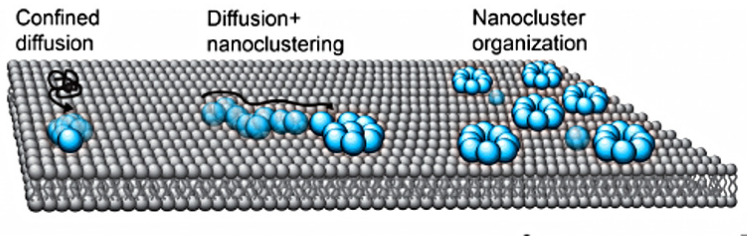 Figure 15