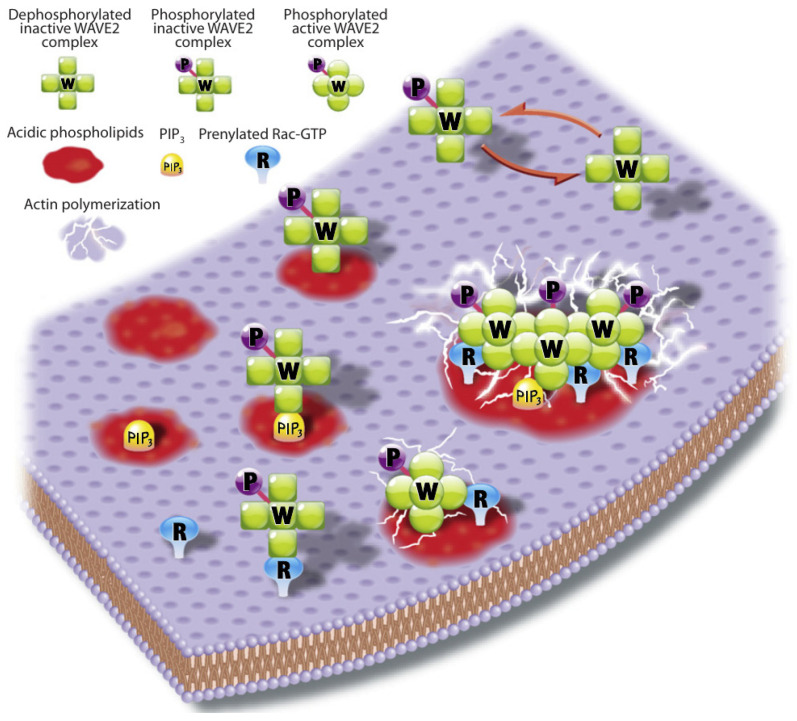 Figure 23