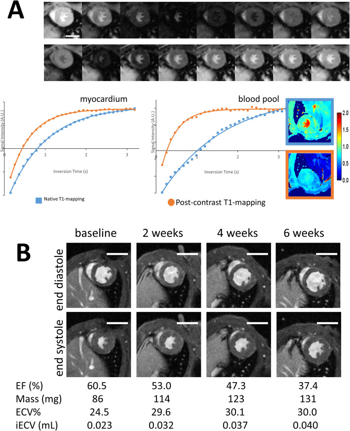 Fig. 3