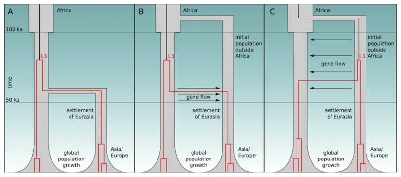 Box Figure 1