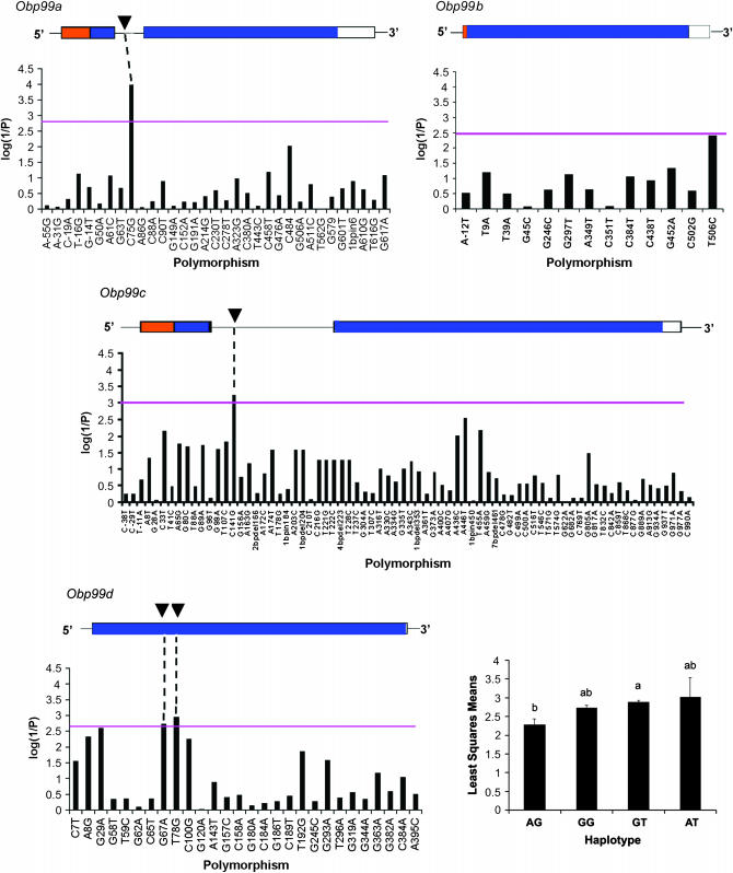 Figure 3.—