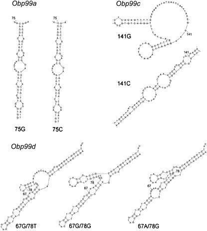 Figure 4.—