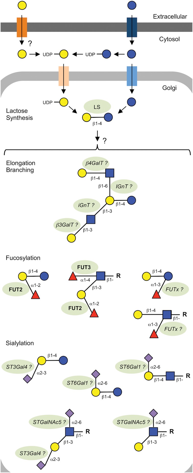 Fig. 4.