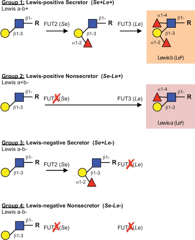 Fig. 3.