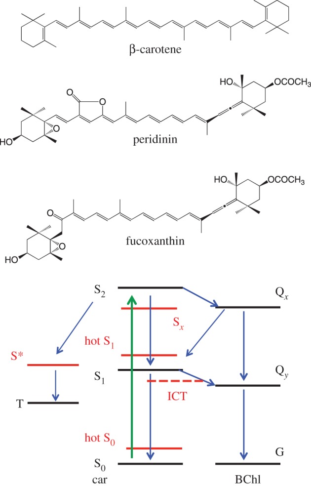 Figure 7.