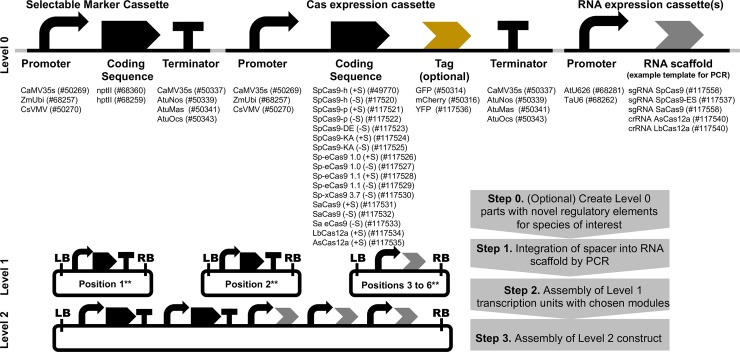 Fig 4