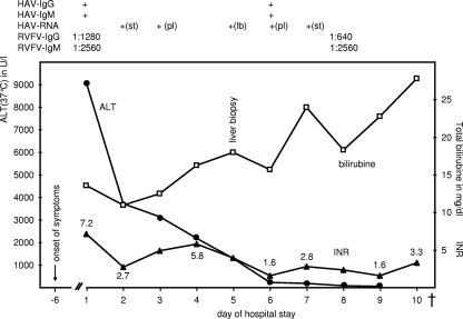 FIG. 1.