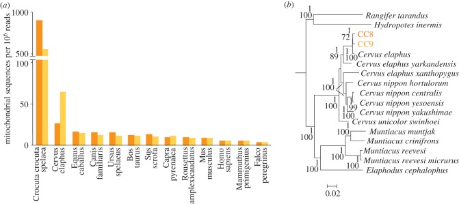 Figure 4.