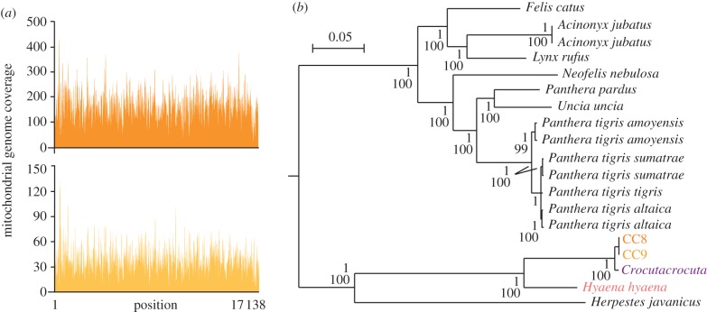 Figure 2.