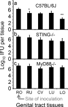 Fig 4