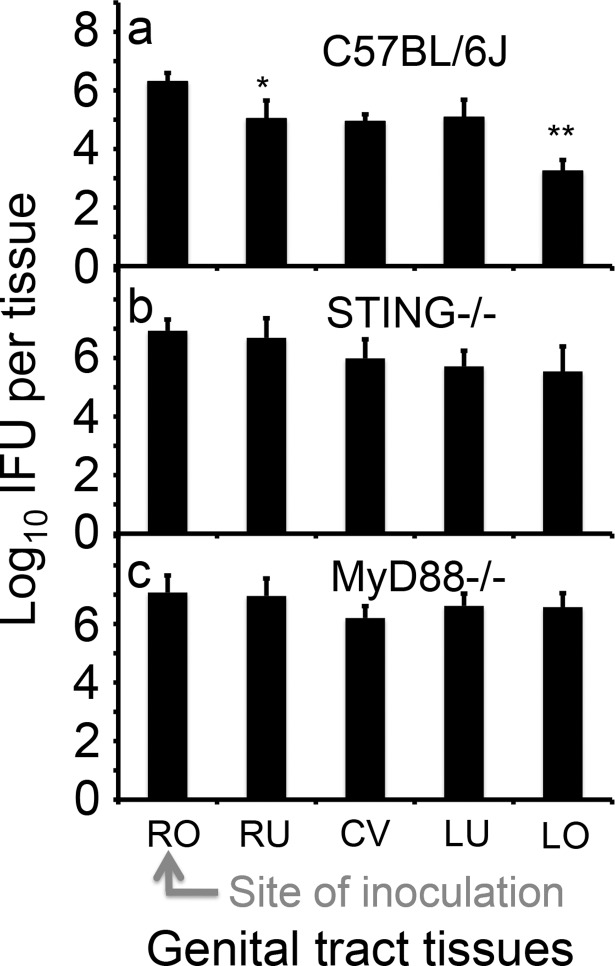 Fig 4