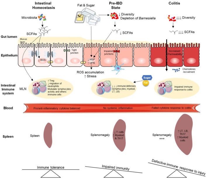 Graphical Abstract