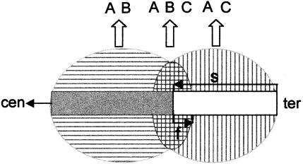 Figure  2