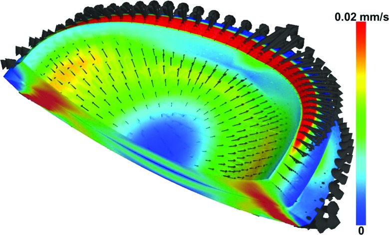 Fig. 8