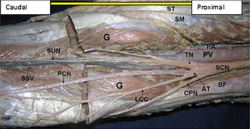 Fig. 3