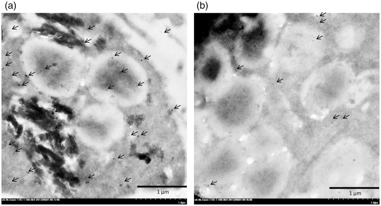 Figure 10.