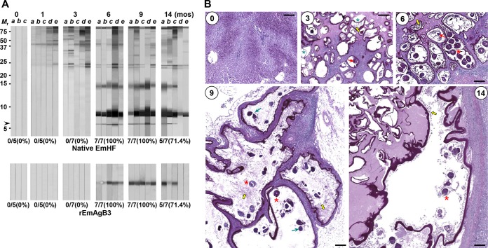 FIG 3