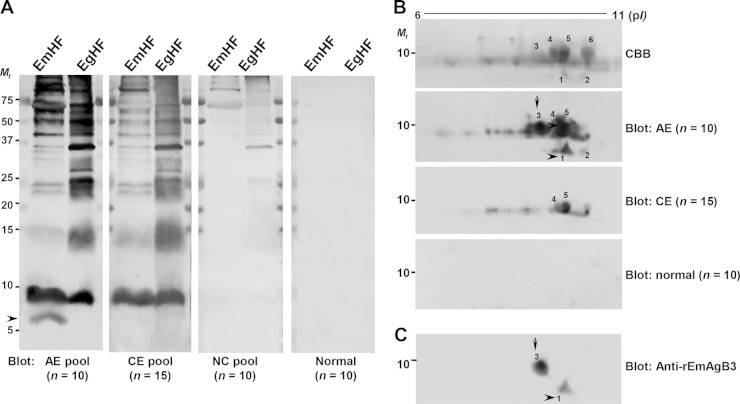 FIG 1