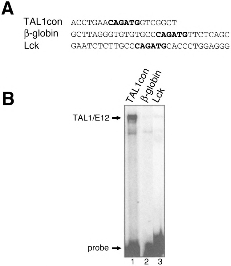 FIG. 10