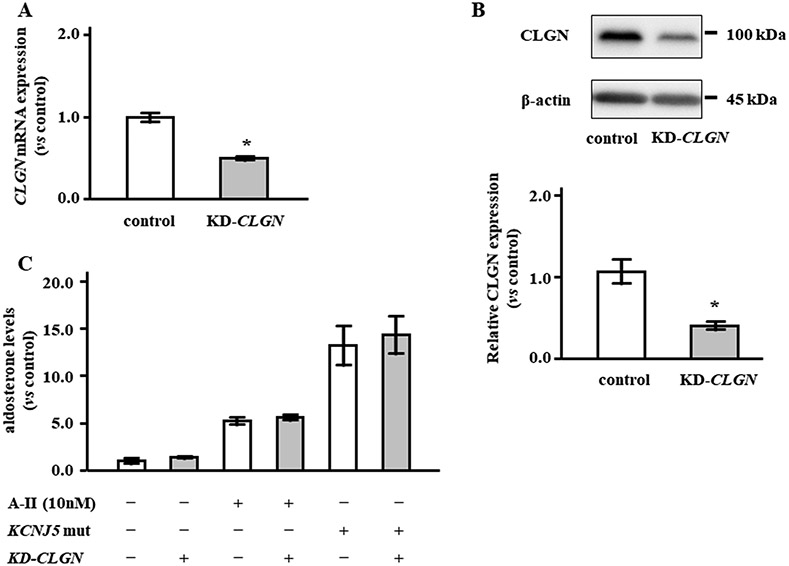 Figure 6.