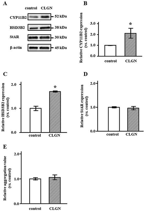 Figure 5.