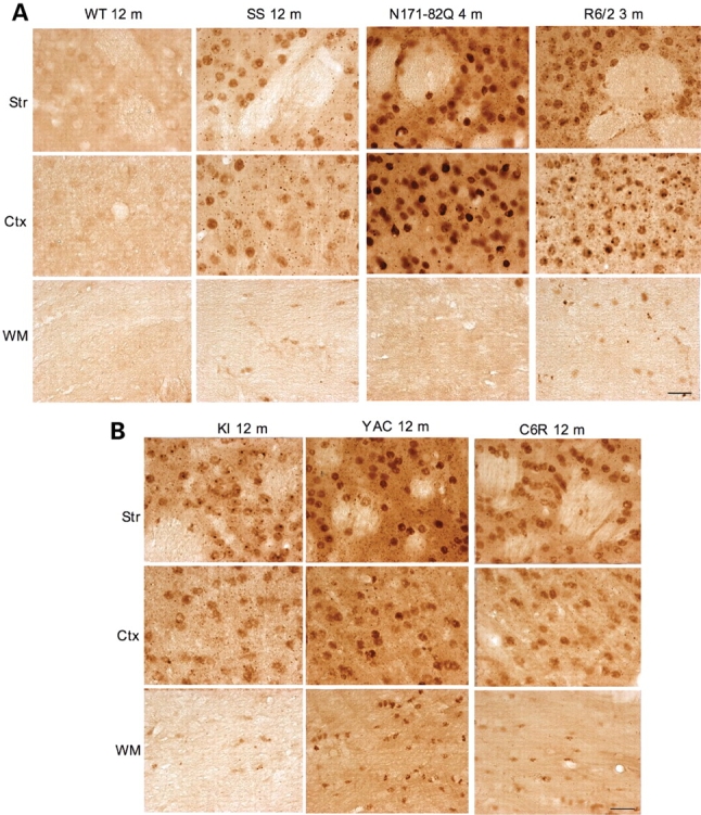 Figure 4.