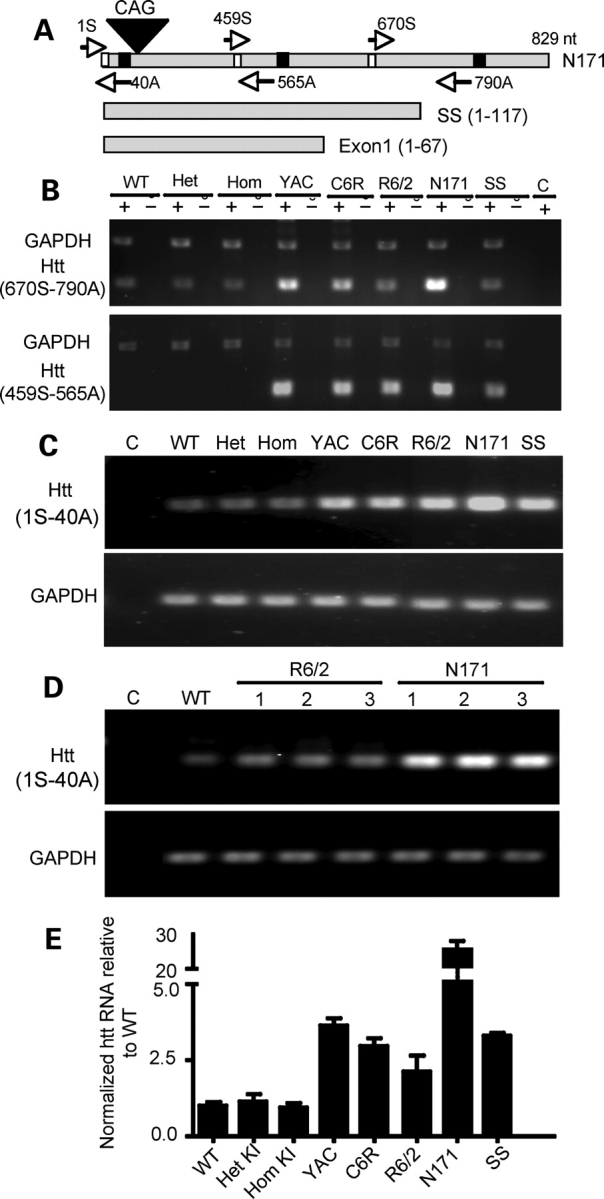 Figure 1.