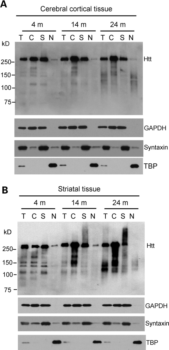 Figure 7.