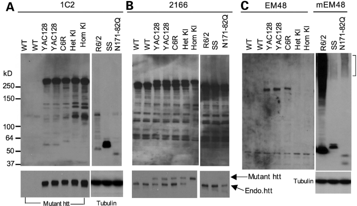 Figure 2.