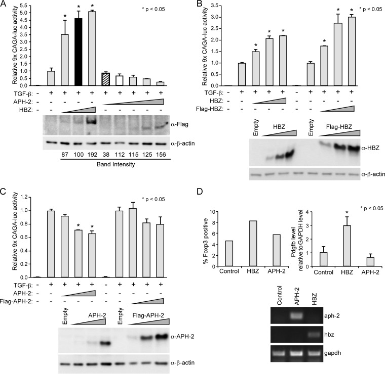 FIG 2