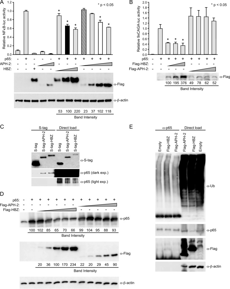 FIG 3