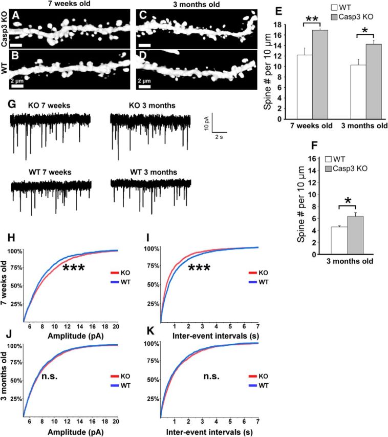 Figure 14.