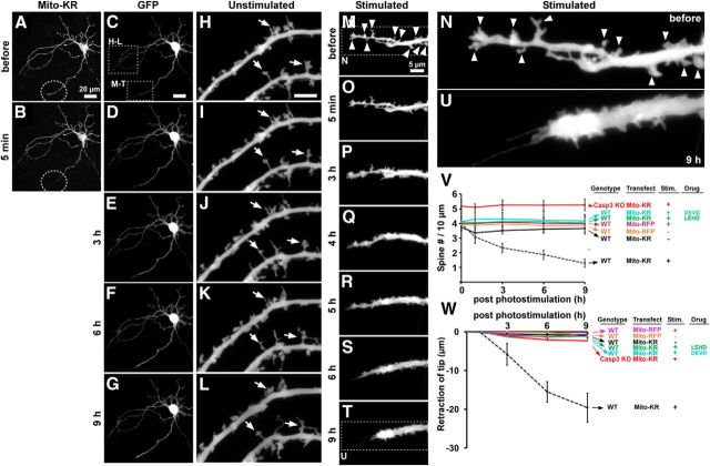 Figure 6.