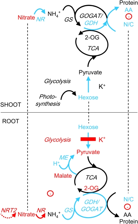 Figure 7.