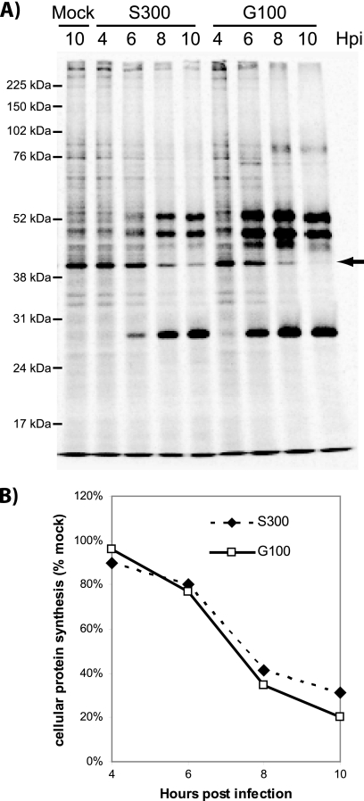 FIG. 2.