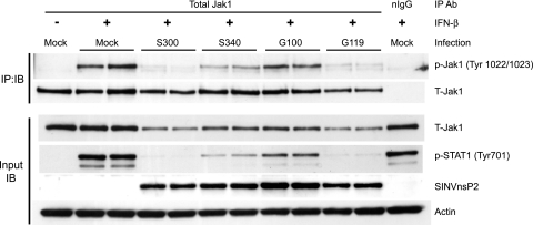 FIG. 7.