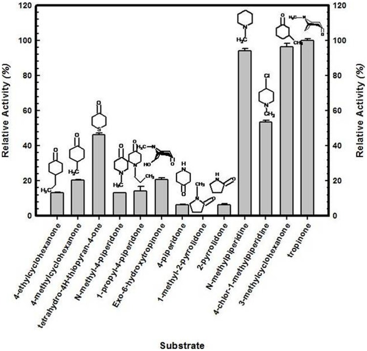 Figure 7