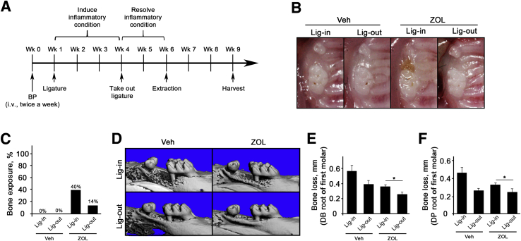 Figure 4