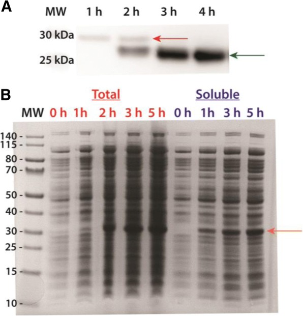 Fig. 3