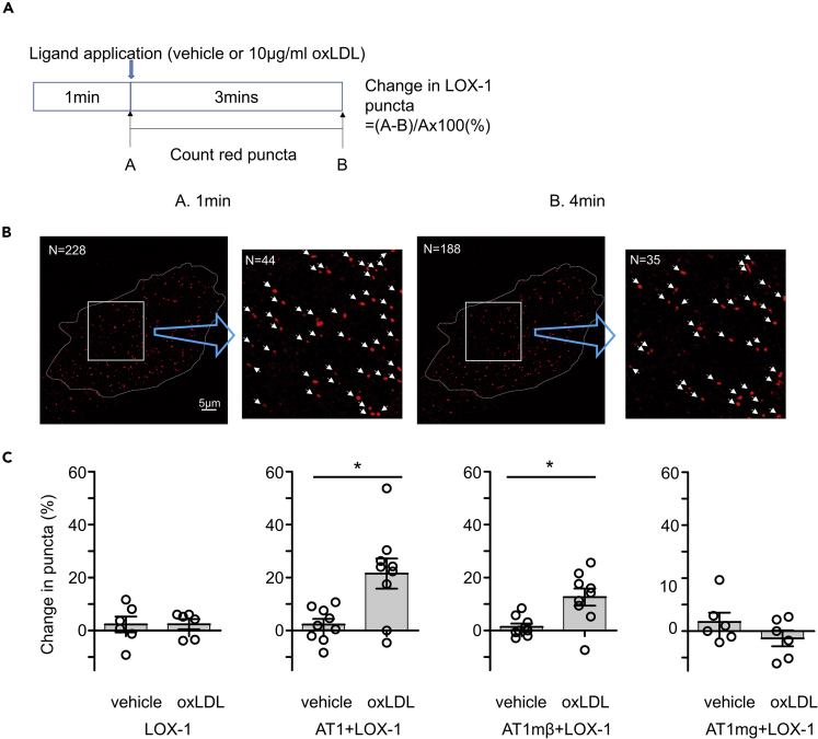 Figure 4