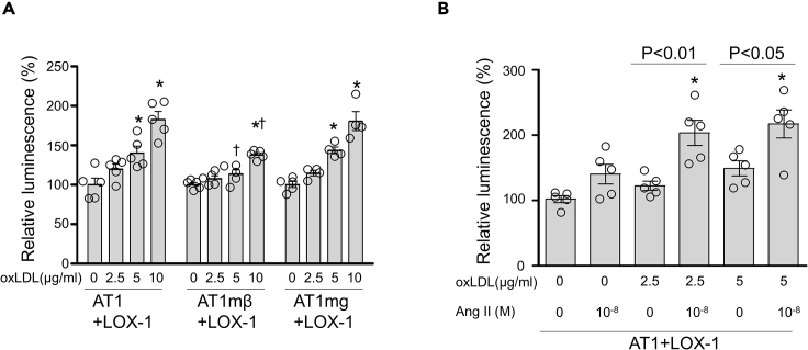 Figure 3