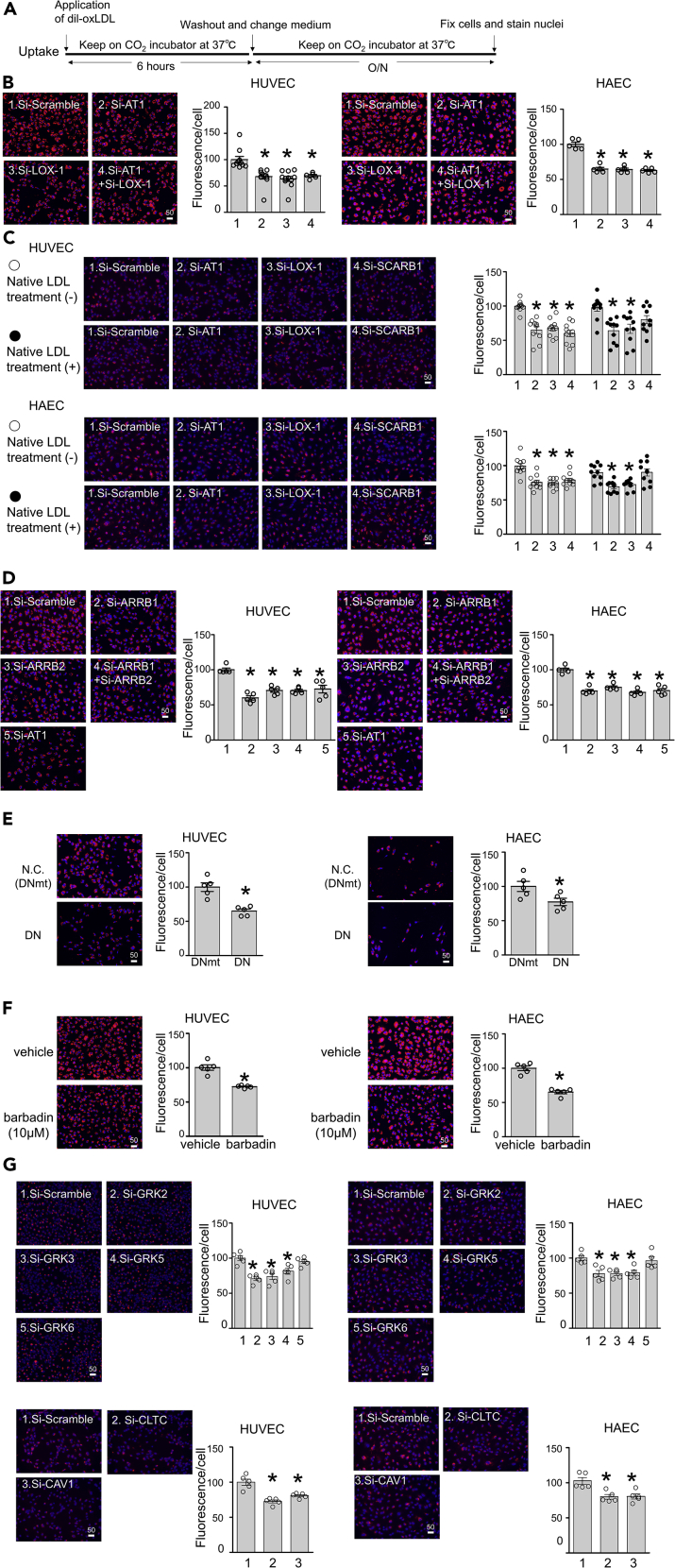 Figure 6