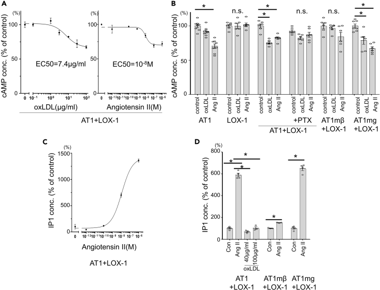 Figure 2